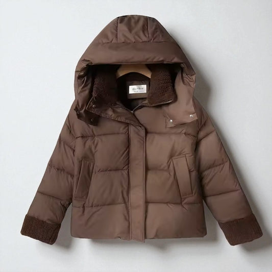 Thick Warm Hooded Winter Coat